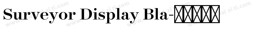 Surveyor Display Bla字体转换